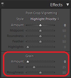 В программе Lightroom функцию добавления эффекта зернистости к фотографии можно найти на панели « Эффекты»
